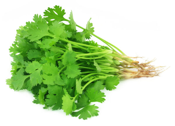 Coriander Leaf 250g